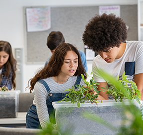 two students at a desk with a plant working on a project